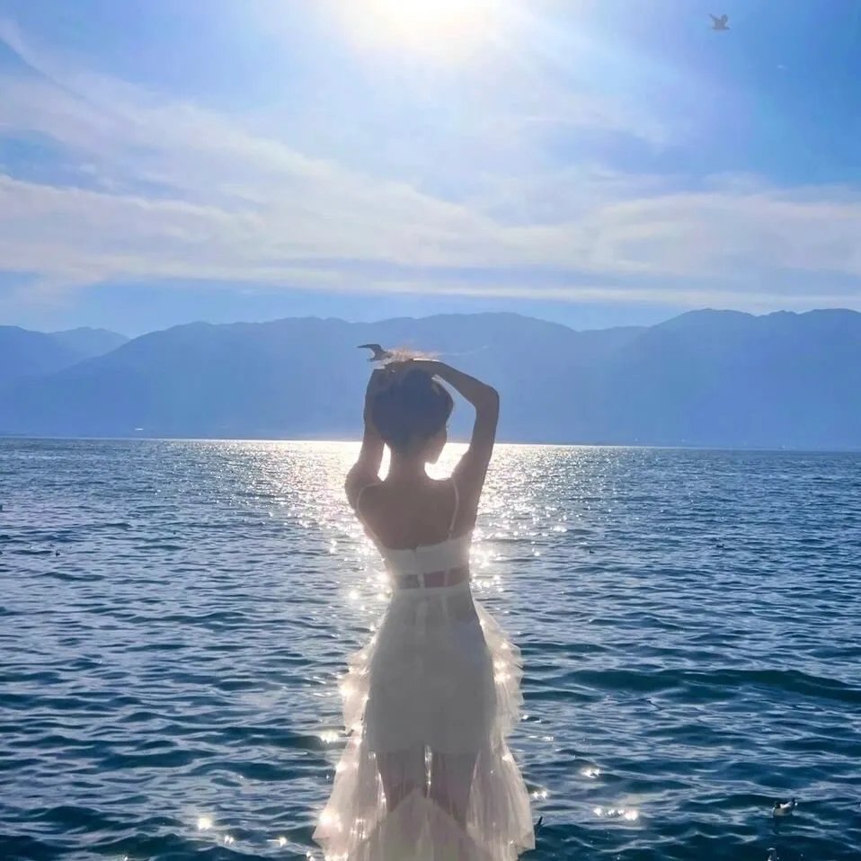 2026热门内容精选第024期